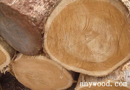 批木网 anywood.com