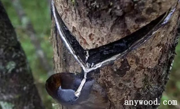 批木网 anywood.com