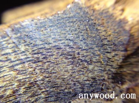 批木网 anywood.com