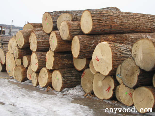 批木网 anywood.com