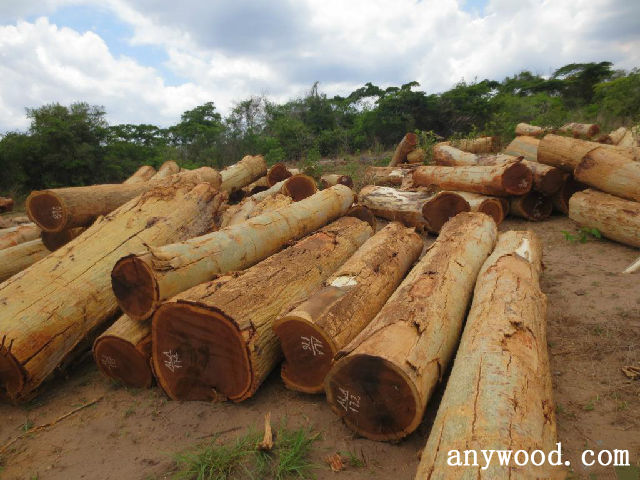 批木网 anywood.com