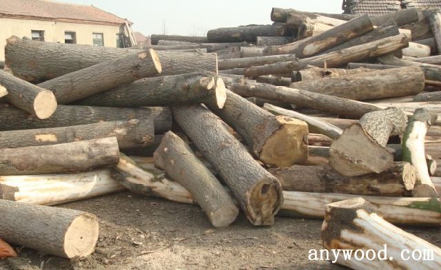 批木网 anywood.com