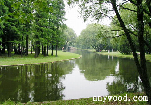 批木网 anywood.com