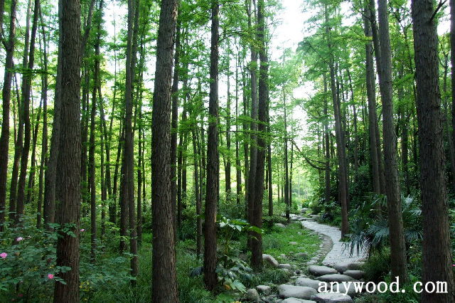 批木网 anywood.com