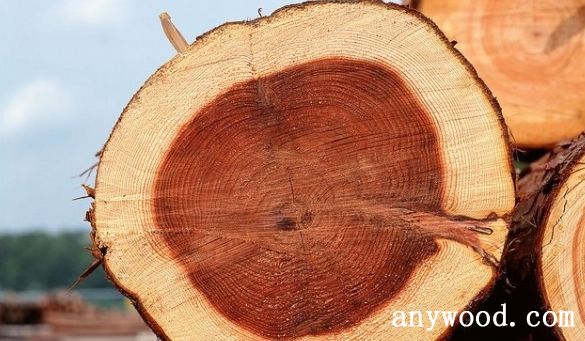 批木网 anywood.com