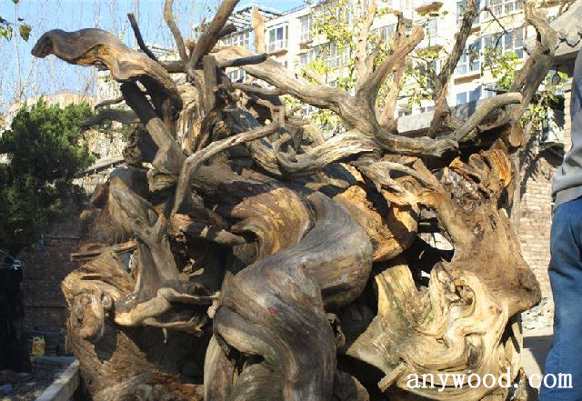 批木网 anywood.com