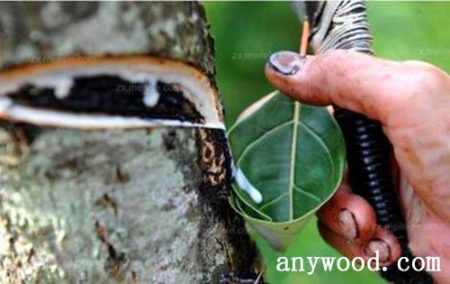 批木网 anywood.com