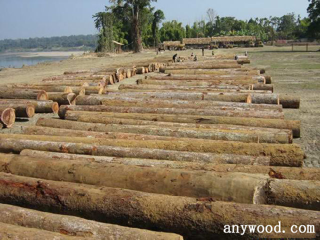 批木网 anywood.com