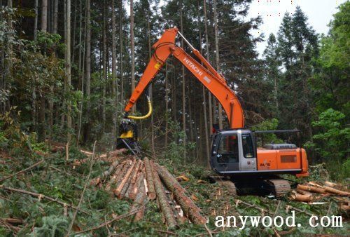 批木网 anywood.com