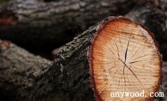 批木网 anywood.com