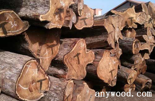 批木网 anywood.com