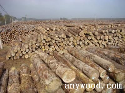 批木网 anywood.com