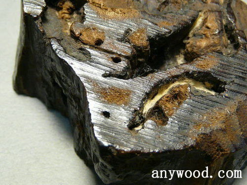 批木网 anywood.com