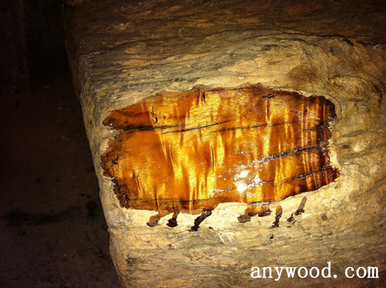 批木网 anywood.com