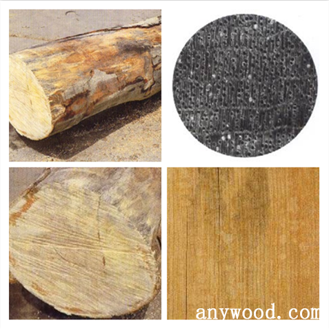 批木网 anywood.com