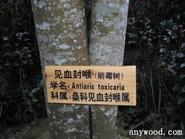 批木网 anywood.com