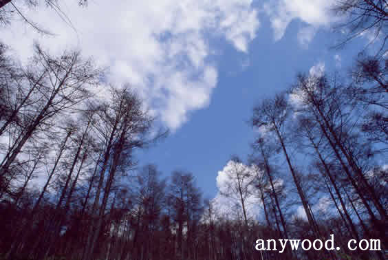 批木网 anywood.com