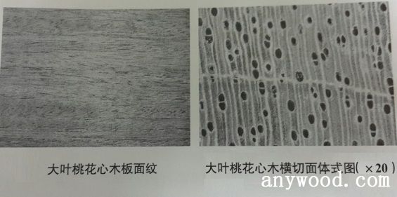 批木网 anywood.com