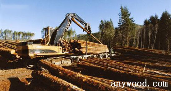 批木网 anywood.com
