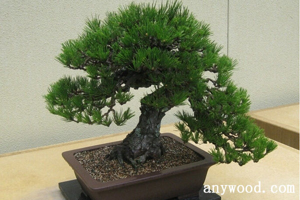 批木网 anywood.com