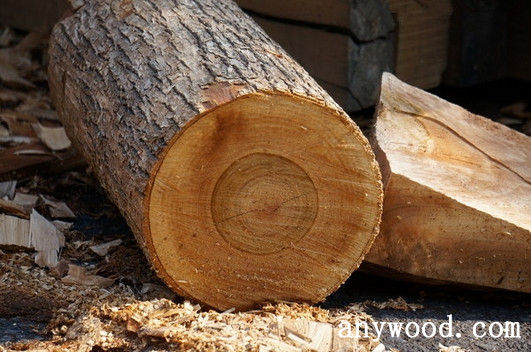 批木网 anywood.com