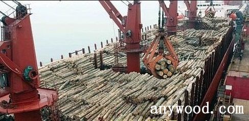 批木网 anywood.com