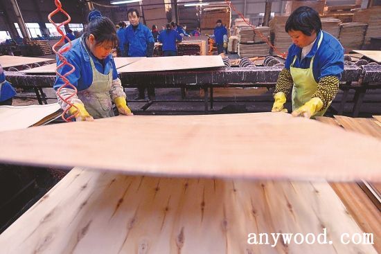 批木网 anywood.com