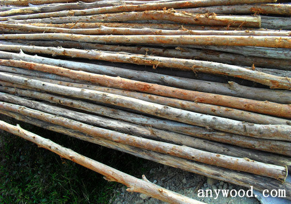 批木网 anywood.com