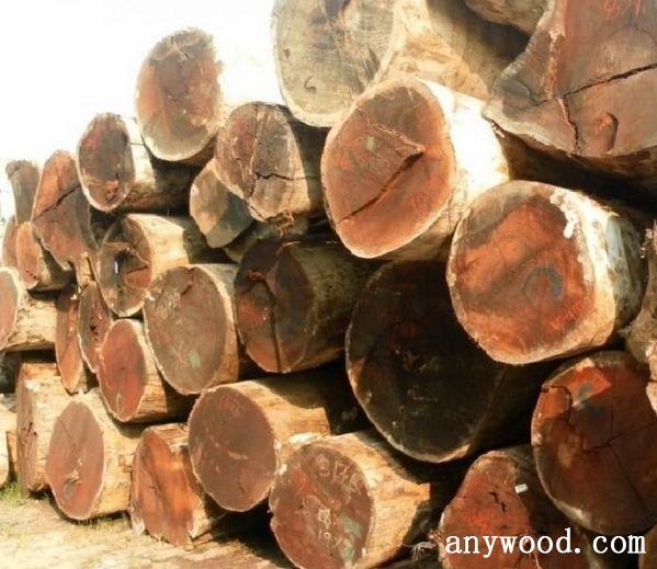 批木网 anywood.com