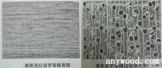 批木网 anywood.com