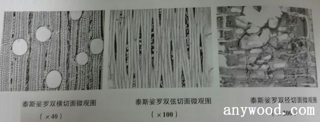 批木网 anywood.com