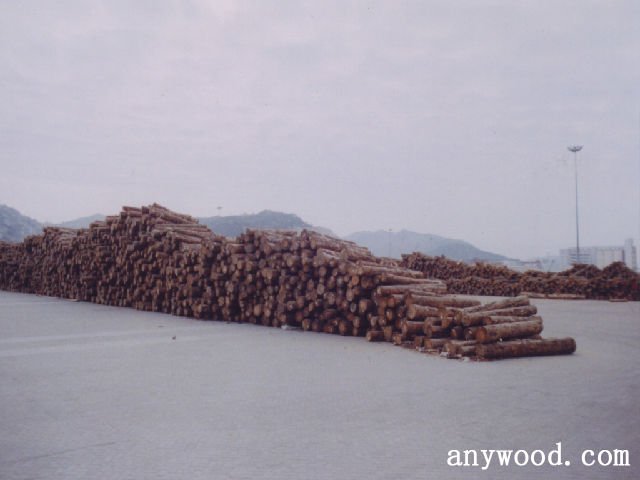 批木网 anywood.com