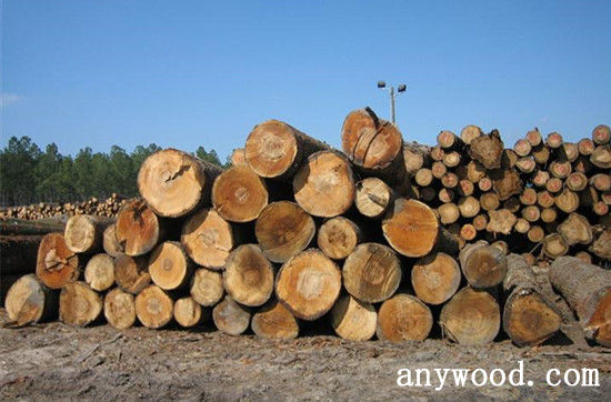 批木网 anywood.com