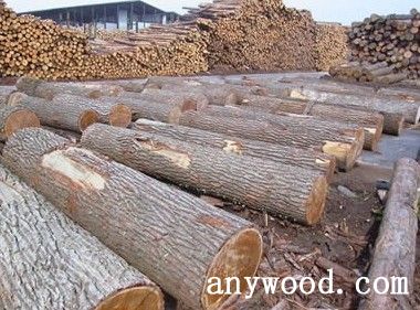 批木网 anywood.com