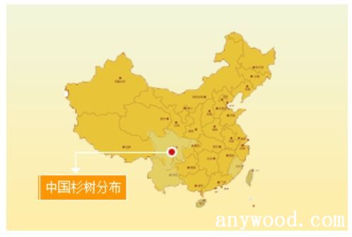 批木网 anywood.com