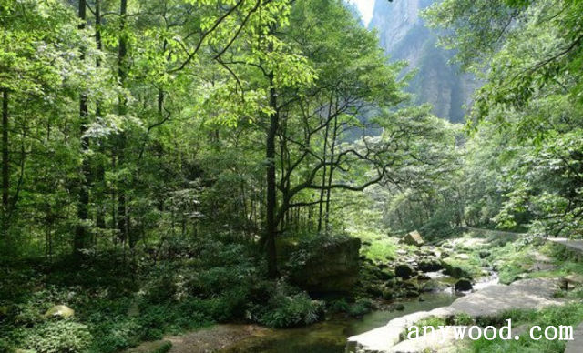 批木网 anywood.com