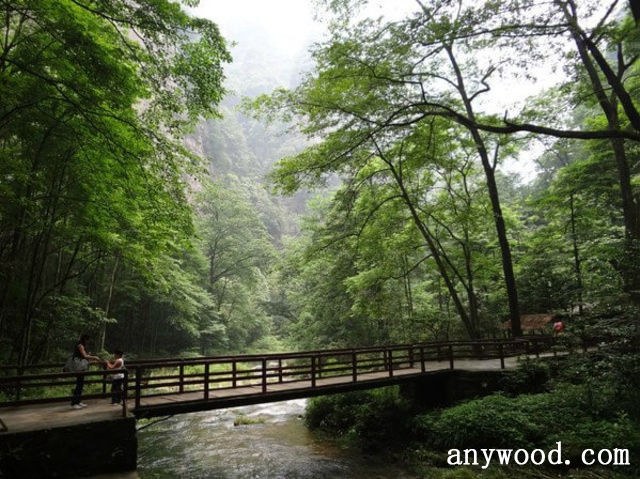 批木网 anywood.com