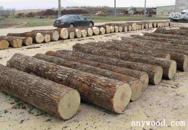 批木网 anywood.com