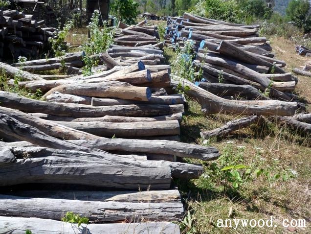 批木网 anywood.com