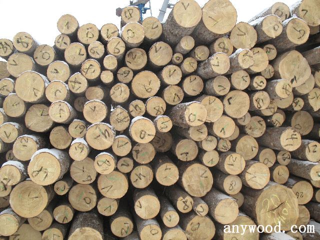 批木网 anywood.com