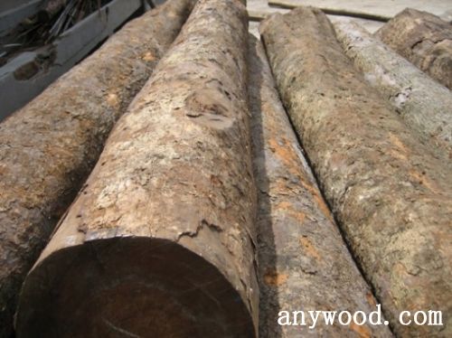 批木网 anywood.com
