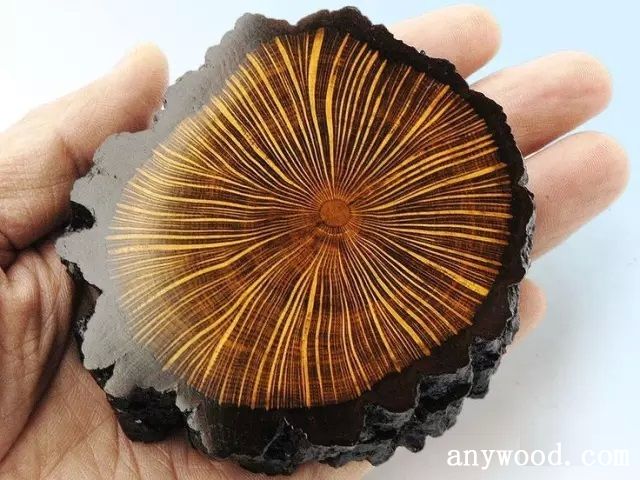 批木网 anywood.com