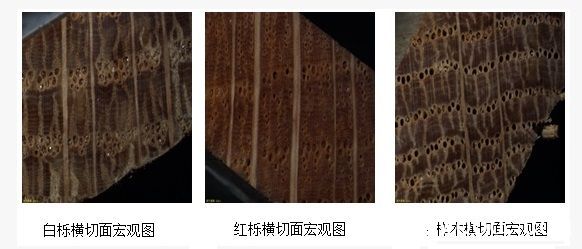 批木网 anywood.com