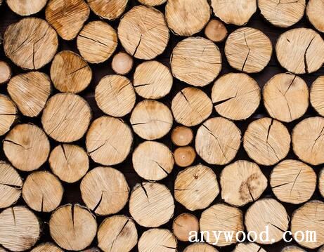 【批木网】anywood.com