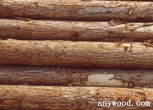 【批木网】anywood.com
