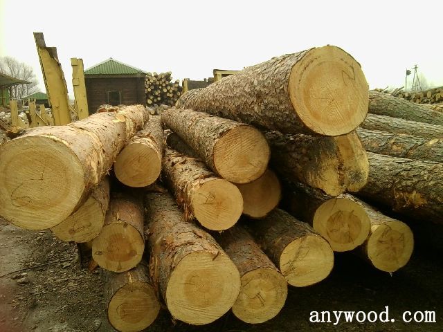 批木网 anywood.com