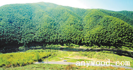 批木网 anywood.com