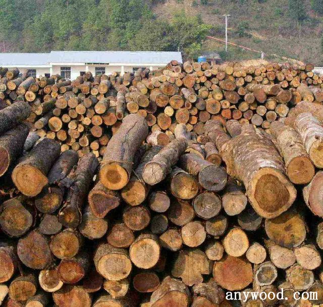 批木网 anywood.com