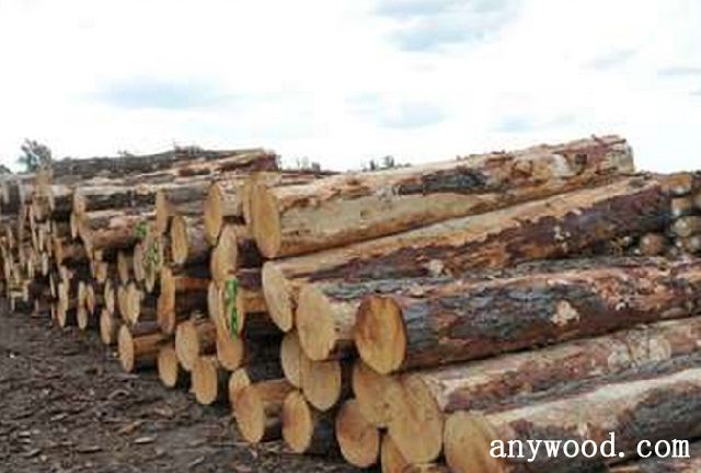 批木网 anywood.com