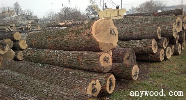 批木网 anywood.com
